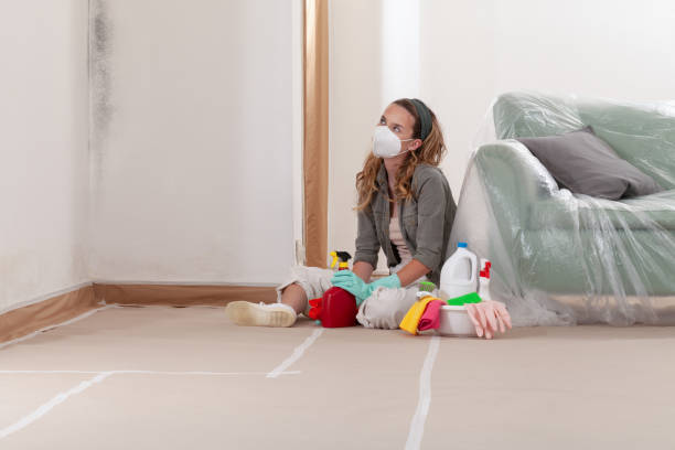 Reliable Mold Testing contractor in Dallas, TX by WQB Mold Removal